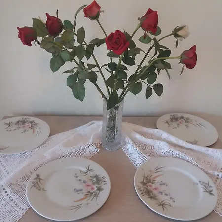 Amazing View Appartement *